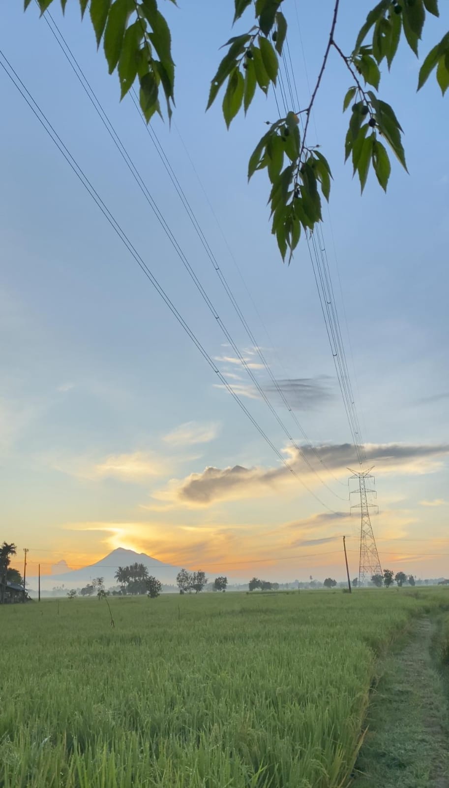 View Gampong Lambeunot Waktu Pagi 