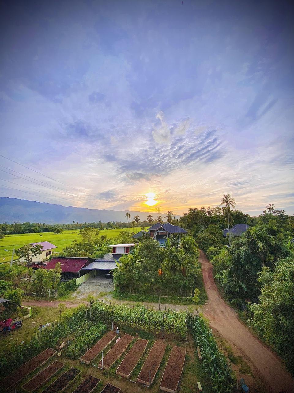 View Dari Ketinggian 15 m Dusun Tgk JAA Beserta Kebun Gampong Lambeunot.