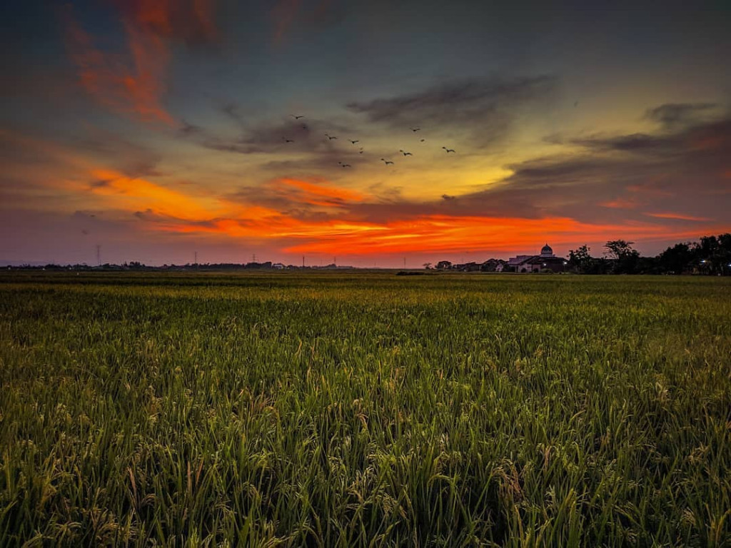 View Sunset Gampong Lambeunot.